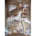 Collection of assorted archaeological stones and architectural curiosities
