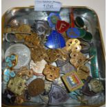Collection of Girl Guides and other badges, some enamel