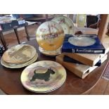 12 assorted Royal Doulton plates and one other