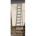 Vintage pine French fruit picker's ladder from the Savoir region