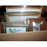 Quantity of various small framed prints