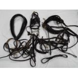 A collection of vintage horse tack, harnesses, collars.