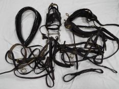 A collection of vintage horse tack, harnesses, collars.