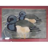 Dan Ferguson (Scottish 1910 - 1992), linocut on paper 'Tufted Duck', signed,