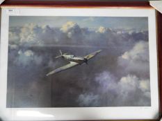 Roy Cross - a print by Roy Cross entitled Flight of Freedom framed under glass,