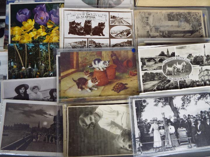 Deltiology - in excess of 500 early - mid period postcards, foreign and subjects to include animals, - Image 4 of 5