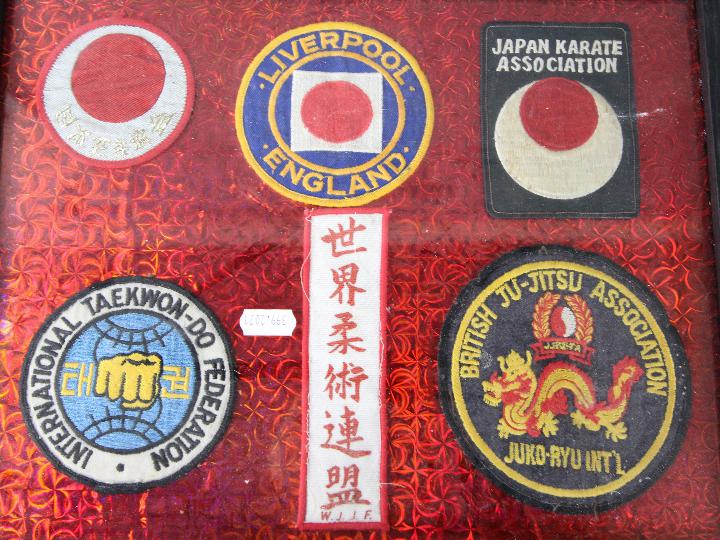 A collection of framed patches relating to martial arts, Resident Evil games and similar. - Image 4 of 5