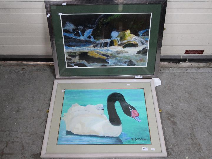 Two framed works in acrylic, the first depicting a black necked swan and cygnet,