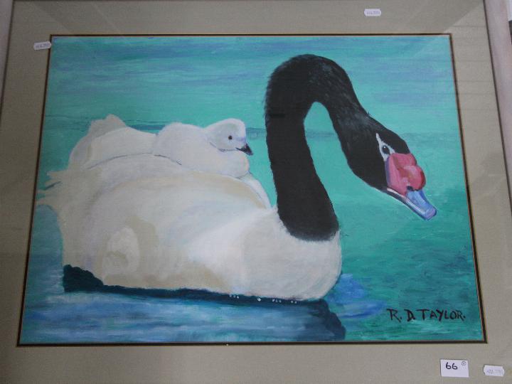 Two framed works in acrylic, the first depicting a black necked swan and cygnet, - Image 2 of 3
