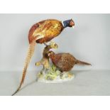 Taxidermy - A brace of Common Pheasant (Phasianus colchicus), cock and hen,