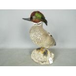 Taxidermy - A taxidermy waterfowl stood on naturalistic base, approximately 35 cm (h).