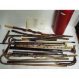 A collection of walking sticks in a stick stand including two with white metal / silver mounts,
