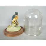 Taxidermy - A Common Kingfisher (Alcedo atthis) mounted on naturalistic base under glass dome,