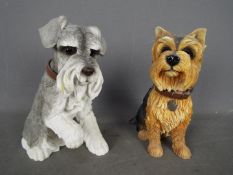 Two Leonardo Collection dog studies comprising Yorkshire Terrier and Schnauzer,