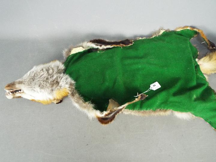 Taxidermy - A Red Fox (Vulpes vulpes) skin rug with green felt trim, - Image 3 of 3