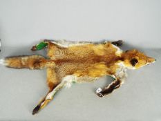 Taxidermy - A Red Fox (Vulpes vulpes) skin rug with green felt trim,