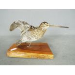 Taxidermy - A Common Snipe (Gallinago gallinago), mounted on base in flying pose,