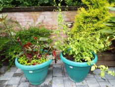 Two large round green planters with planted contents,