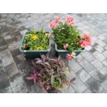 Two cuboid planters and a hanging basket,