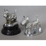Automobilia - A Desmo, chrome plated car mascot in the form of a Scottish Terrier, approximately 7.