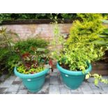 Two large round green planters with planted contents,