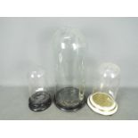 Three display domes and bases, largest approximately 49 cm (h).