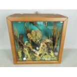 A display box containing an under water scene