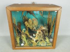 A display box containing an under water scene