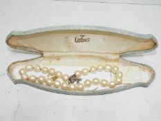 A set of Lotus pearls with silver clasp