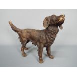 A cast metal, bronzed model of a Springer Spaniel, approximately 19 cm (h).