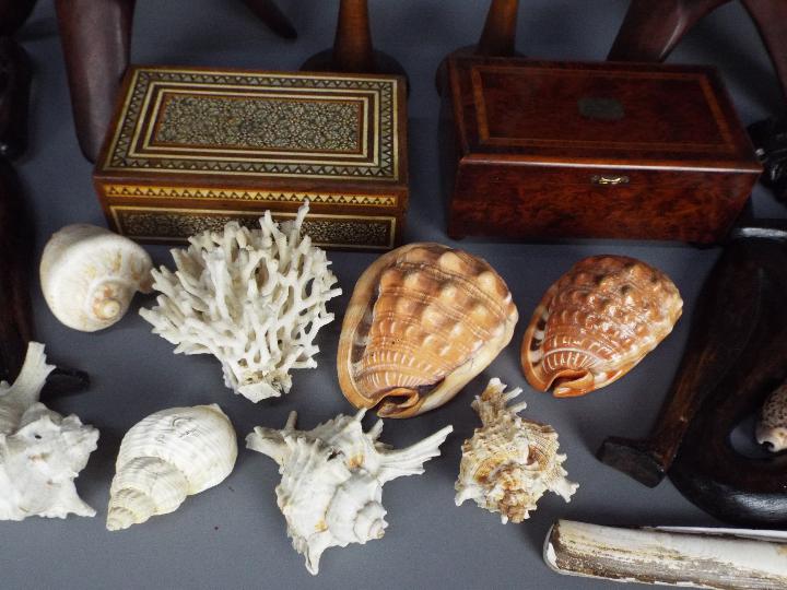 Lot comprising treen, shells, wooden boxes and similar. - Image 4 of 5