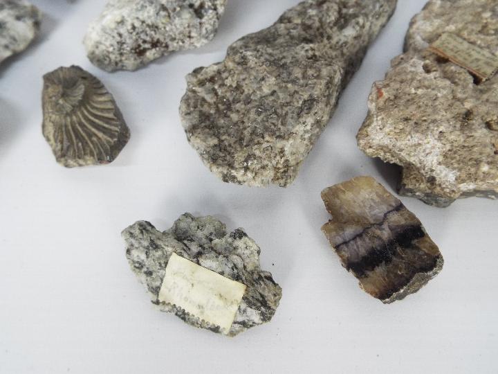 A small collection of fossil samples, mineral samples including one labeled 'Black Granite, - Image 4 of 11