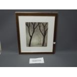 A pair of decorative prints, mounted under glass in modern frames,