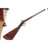 19th Century double barrel muzzle loading percussion shotgun, barrel 81cm in length.