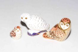 Three Royal Crown Derby paperweights, Short Eared Owl, Snowy Owl and Owlet, all gold stoppers.