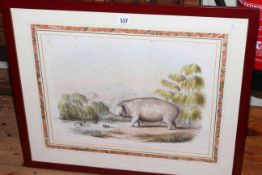 After William Cornwallis Harris, lithograph of The Hippopotamus, 35cm by 45cm, framed.