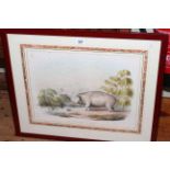 After William Cornwallis Harris, lithograph of The Hippopotamus, 35cm by 45cm, framed.