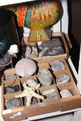 Baroque nursery tea set (boxed), fossils, seashells, copper cauldron, anniversary clock,