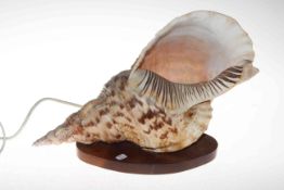 Conche shell table lamp on mahogany case.