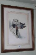 Framed print of a gun dog with catch, 77cm by 61cm overall.