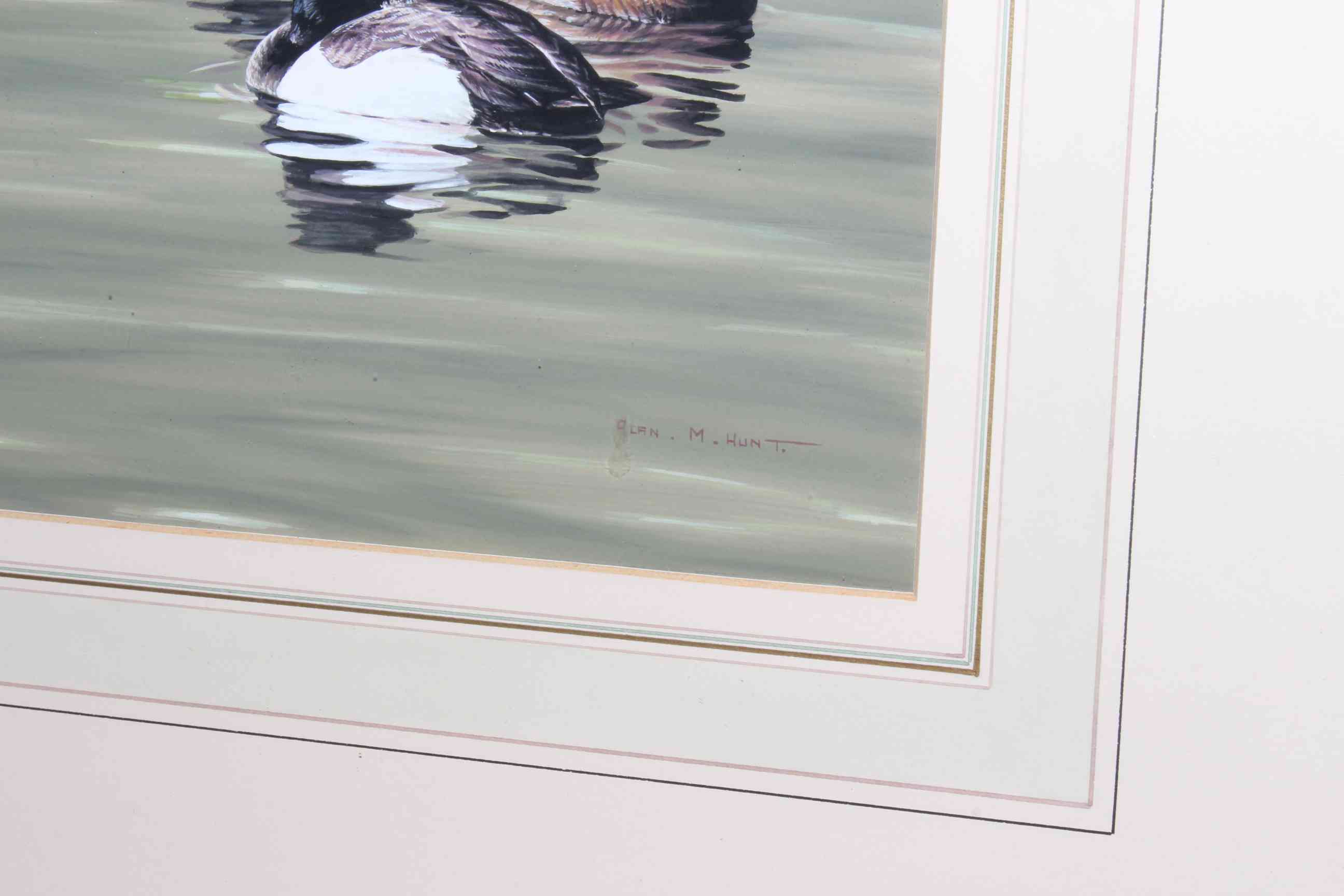 Alan M. Hunt, Tufted Ducks, watercolour, signed lower right, 15.5cm by 26.5cm, in gilt glazed frame. - Image 2 of 2