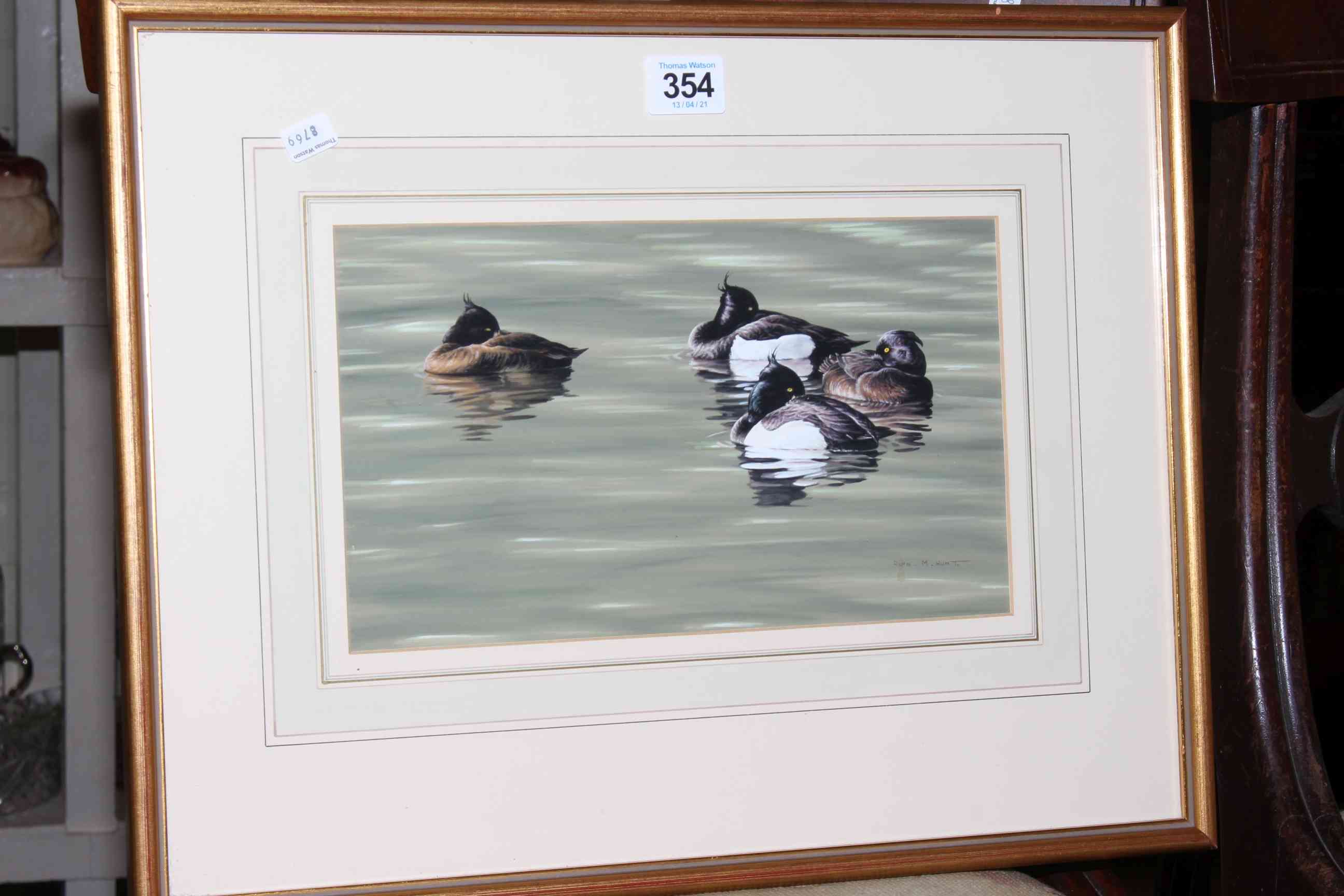 Alan M. Hunt, Tufted Ducks, watercolour, signed lower right, 15.5cm by 26.5cm, in gilt glazed frame.