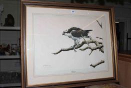 Alan M. Hunt, Osprey, artist proof, signed, dated 1974 and No.