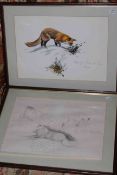 Four framed fox studies, one watercolour and three pencil sketches.