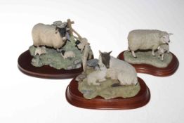 Three Border Fine Arts models 'Spring Lambing', 'Texel Ewe & Lamb' and 'Grouse',