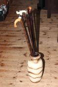 Six walking canes including silver collared, carved squirrel handle, bone handle,