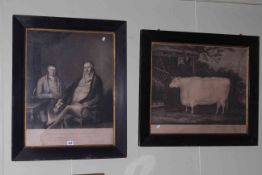 Two Victorian framed and glazed prints, portraits of Robert & Charles Collings and a prize ox.