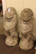 Pair sitting proud garden lions, 69cm high.