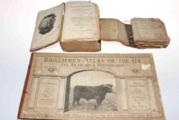 Baillieres Atlas of the Ox/Its Anatomy and Physiology and two other 17th/18th Century books (3).