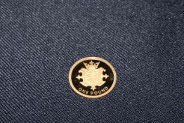 CPM 2014 Jersey 22 carat gold proof £1 coin in box with COA No. 314.